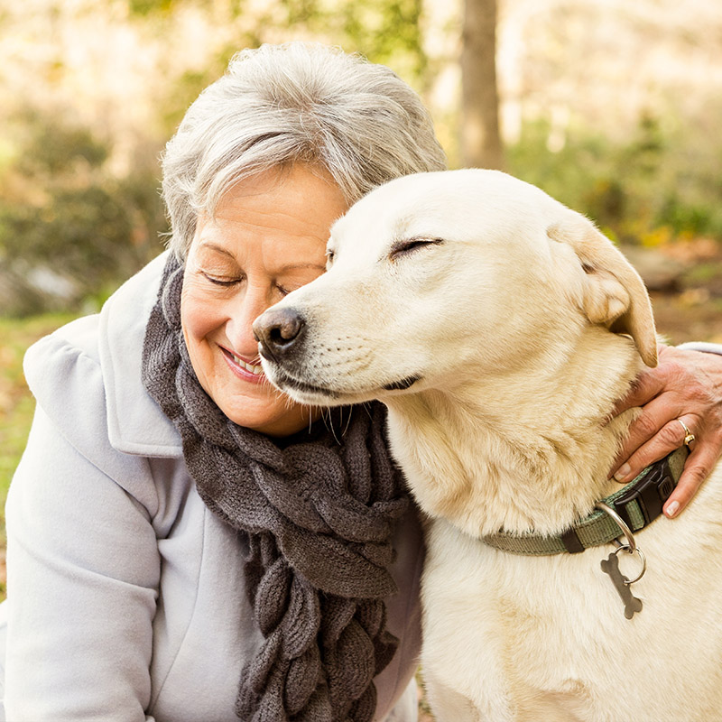 An elderly woman leans her head against her pets head as she gives it a hug