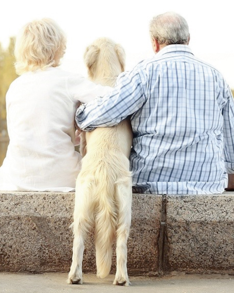 Watching an older couple hugging their dog as the three of them watch the sunset