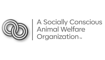 A Socially Conscious Animal Welfare Organization
