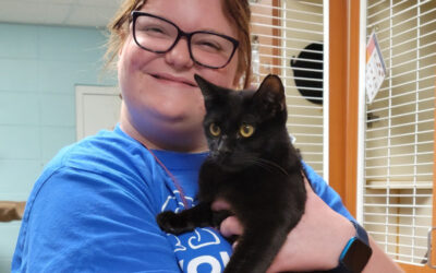 A Special Group of Volunteers Bring Cleaning and Caring to Our Shelter