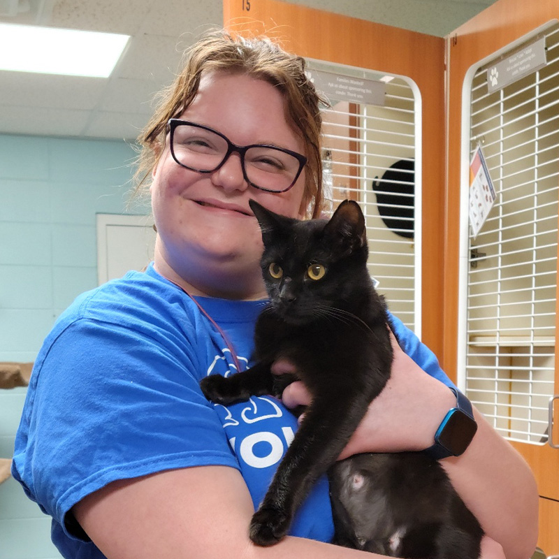 A Special Group of Volunteers Bring Cleaning and Caring to Our Shelter ...