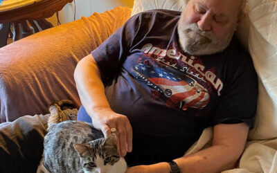 Finding a New Support Cat for Butch