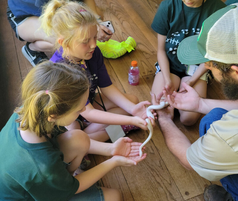 Critter Camp Week One: Petting Snakes and Making Friends