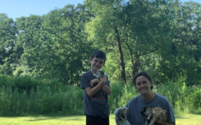 The Fostering Evangelist