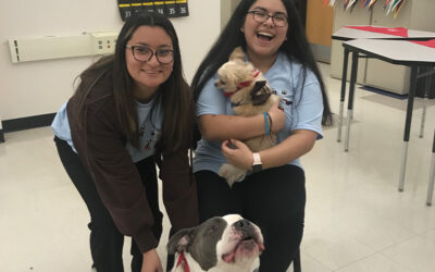 Streamwood High School Students Learn the Healing Power of Animals