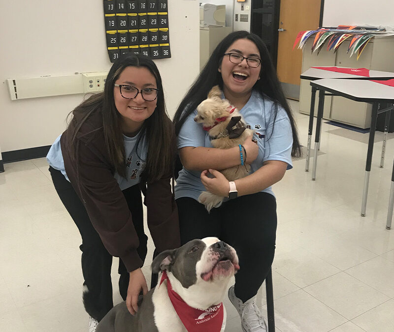 Streamwood High School Students Learn the Healing Power of Animals