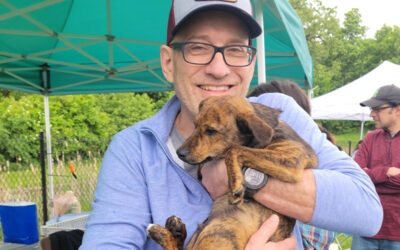The Road Home Mega Adoption Event a Mega Success