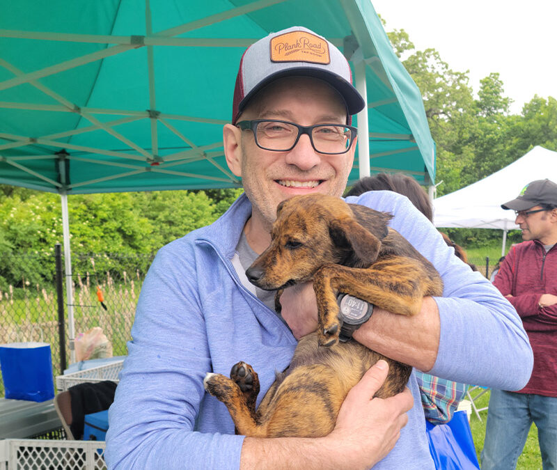 The Road Home Mega Adoption Event a Mega Success