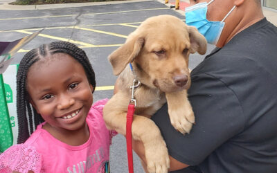 58 Pet Adoptions to Celebrate 5 Years of Partnership