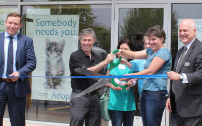 Celebrating Five Years of Connecting People and Pets in North Aurora