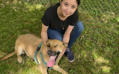 The Perfect Dog for the Cotero Family