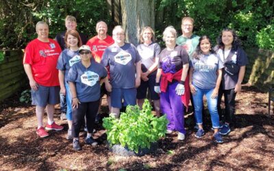 The Baseball Fans Benefitting Anderson Humane