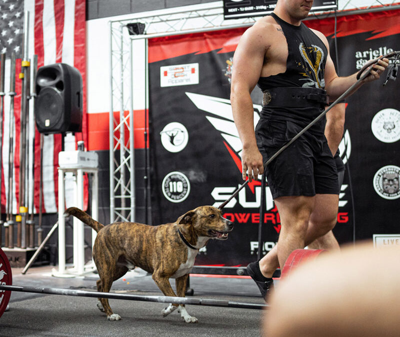 The Power-Lifting Community with a Heart for Pets