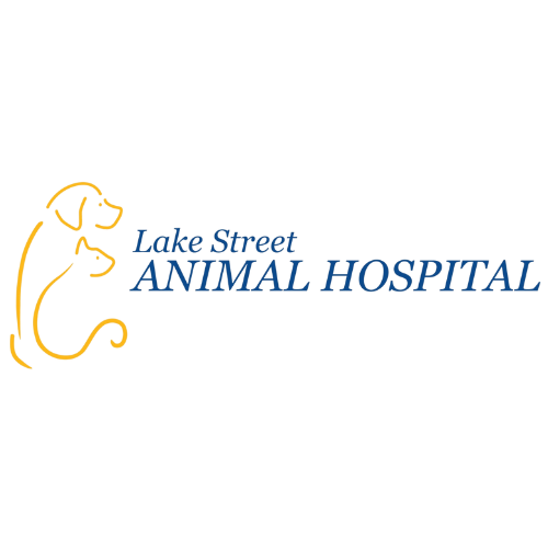 Lake Street Animal Hospital