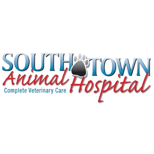 Southtown Animal Hospital