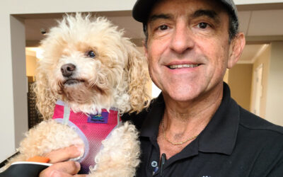 The Healing Power of Walking a Dog