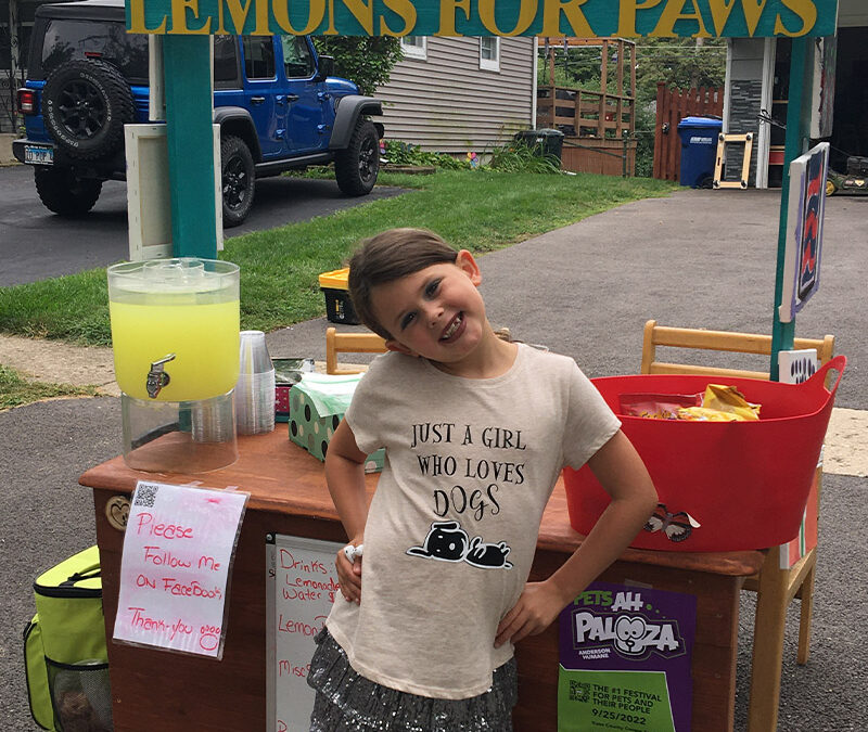 The 7-Year-Old Saving Dogs with Lemonade