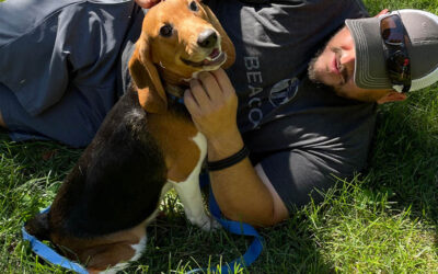 From Envigo Lab to Loving Home