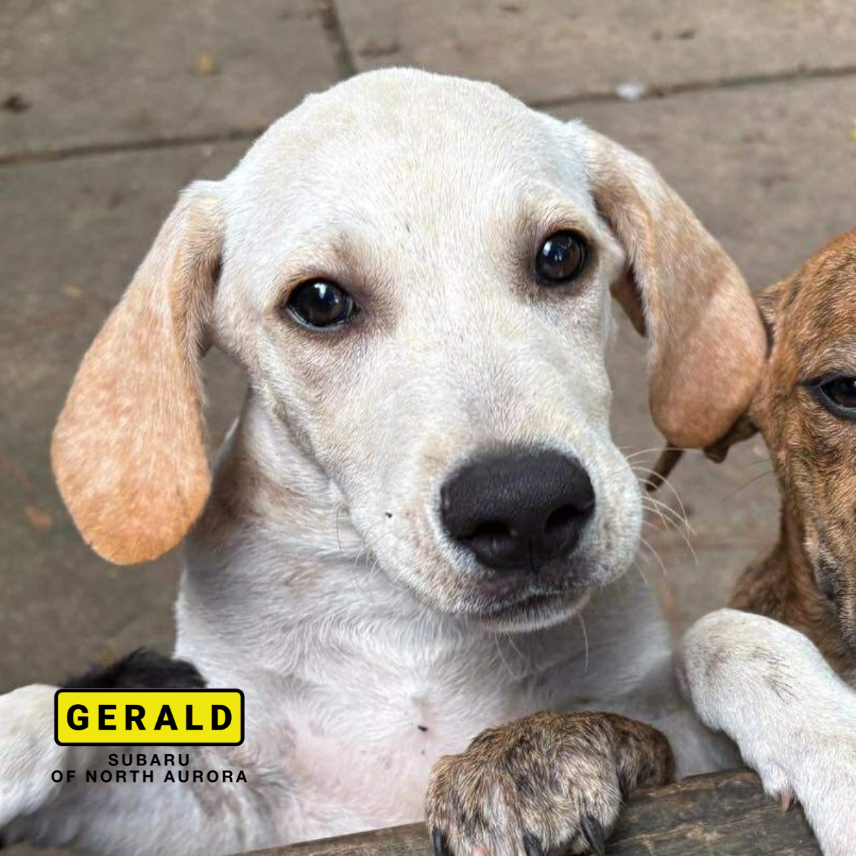 3rd Party Event Photos – Website – 2025-09-08T145453.180