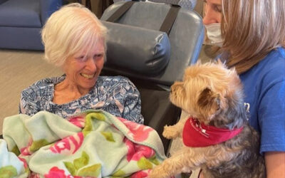 Eleven Pounds of Joy