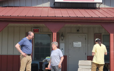 The Moving Source of Our Adoptables