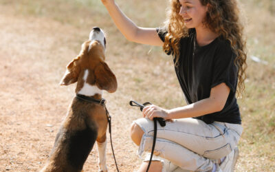 4 Reasons Dog Training Is Good for Your Pup – and YOU