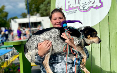 Celebrating the Joy of Pets at Pets-AH-Palooza