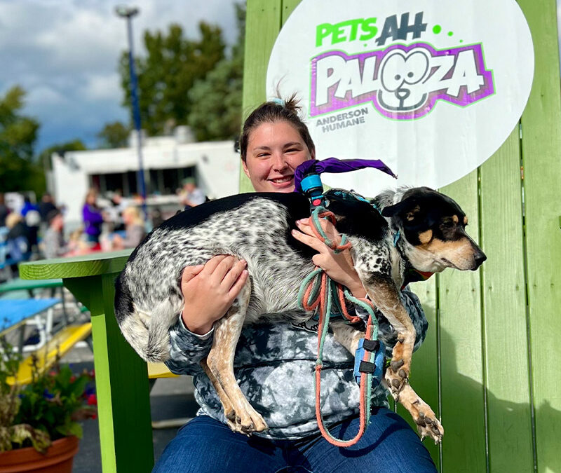 Celebrating the Joy of Pets at Pets-AH-Palooza