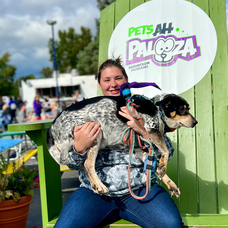 Celebrating the Joy of Pets at Pets-AH-Palooza - Anderson Humane