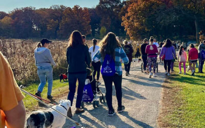 A Beautiful Day to Walk4Animals