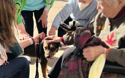 Honoring Renee with the Joy of Animals