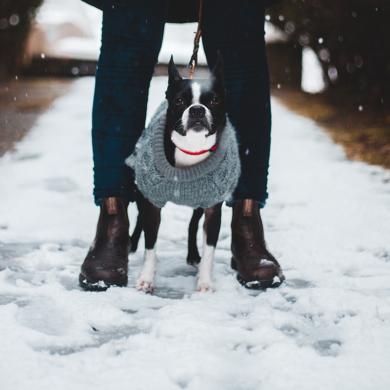 Keep Snowy Boots from Melting on Your Floors with this DIY Boot