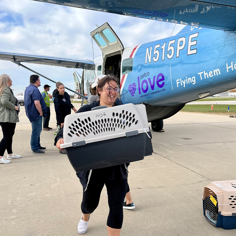 A woman is carrying a crate containing an animal taken off the small airplane behind her, where more people wait to take other crated animals out of the cargo hold.