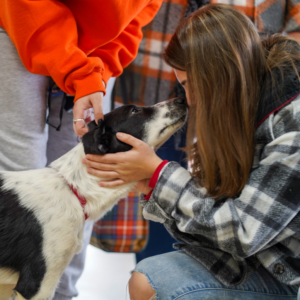 Adoption Event Pet Supplies Plus Anderson Humane