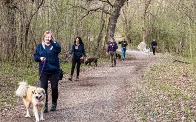 Rookie Volunteers: Going the Extra Mile for Animals in Need