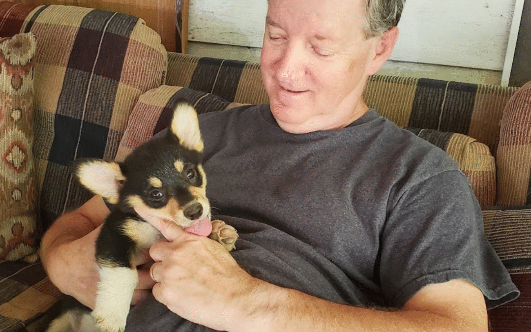 Comfort on Four Paws: How Healing Paws Changes Lives