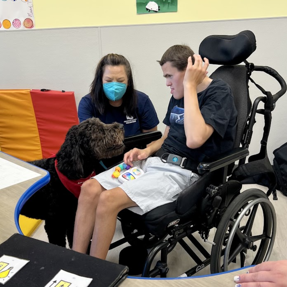 A turtle sits on a table, looking at the camera with its legs tucked into its shell.