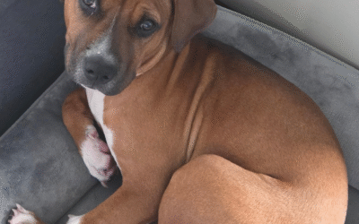 60 Stories in 60 Days: There Was Still Love to Give