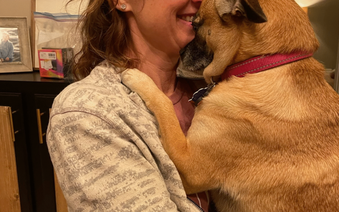 60 Stories in 60 Days: The Day Stella Found Us