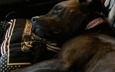 60 Stories in 60 Days: The Foster That Stole My Heart