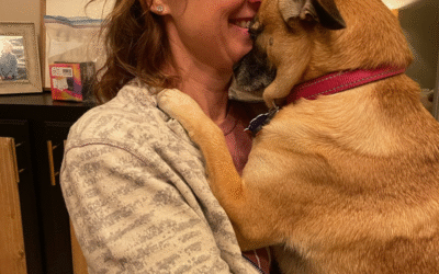 60 Stories in 60 Days: The Day Stella Found Us