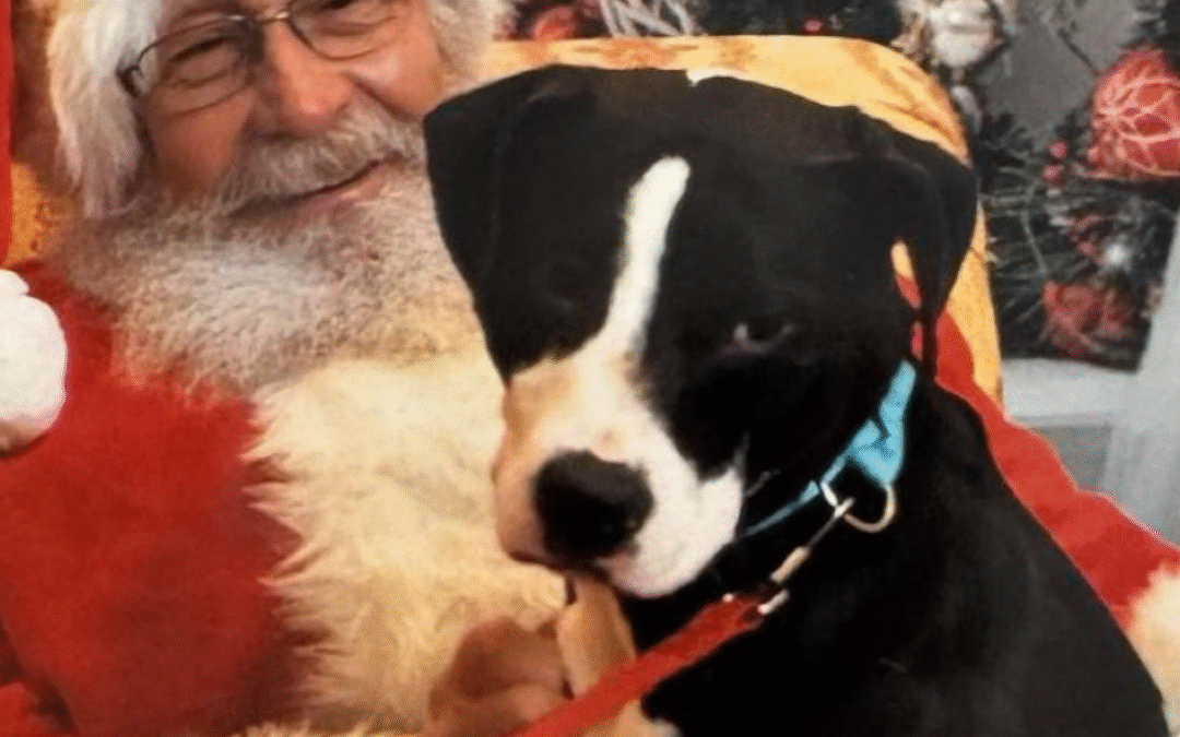 60 Stories in 60 Days: Right Place, Right Time