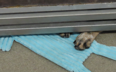 60 Stories in 60 Days: A Connection We Couldn’t Ignore