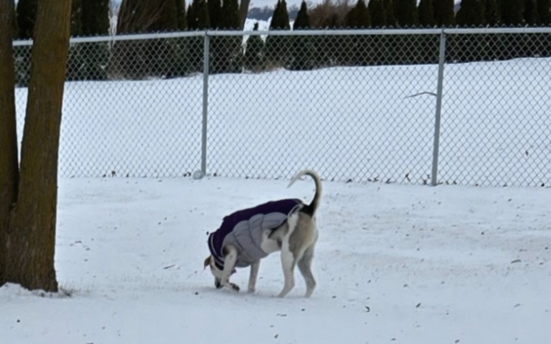 60 Stories in 60 Days: A Second Chance for Both of Us