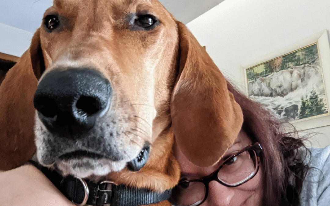 60 Stories in 60 Days: A Home Full of Second Chances