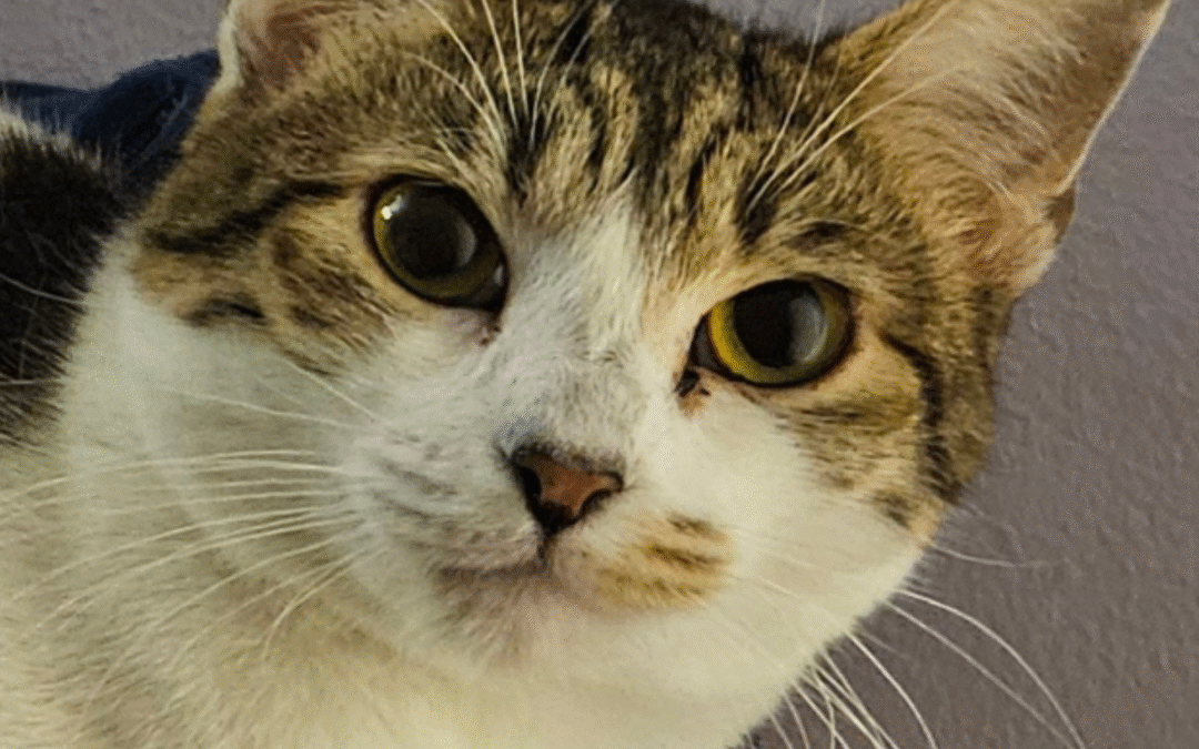 60 Stories in 60 Days: Love That Stays