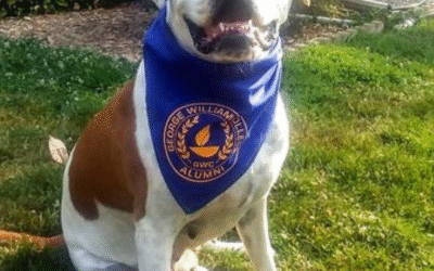 60 Stories in 60 Days: Love That Never Leaves