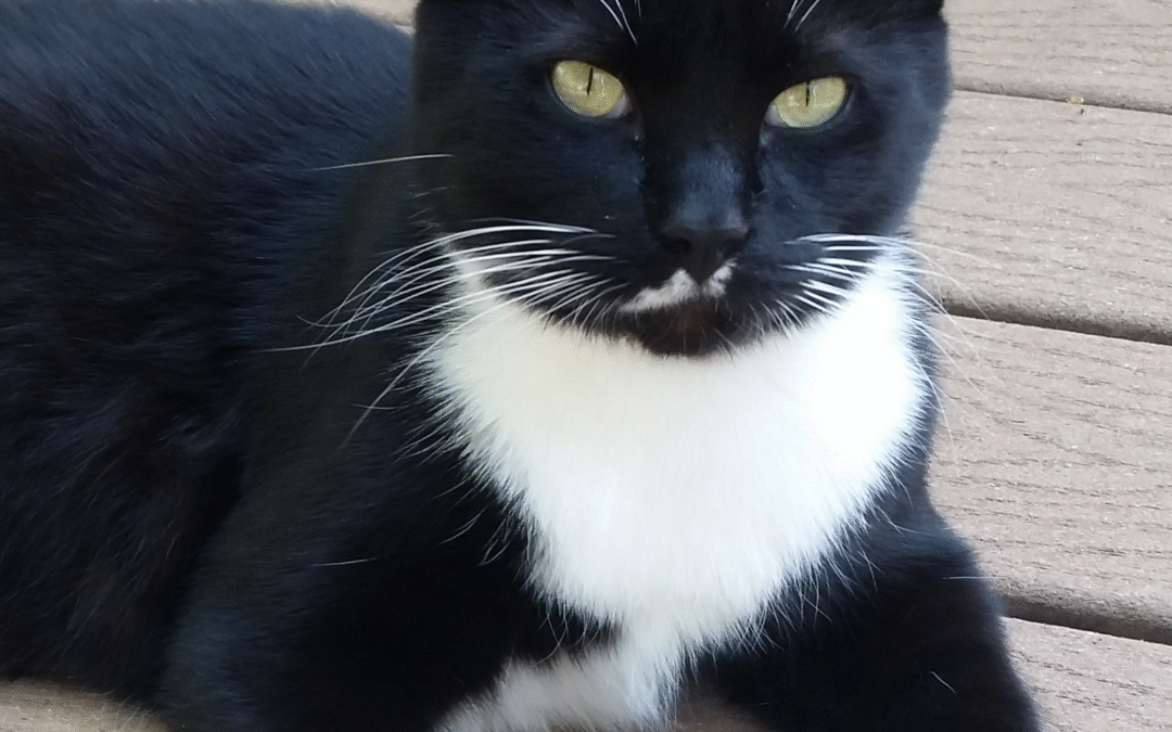 60 Stories in 60 Days: A Full Circle of Care