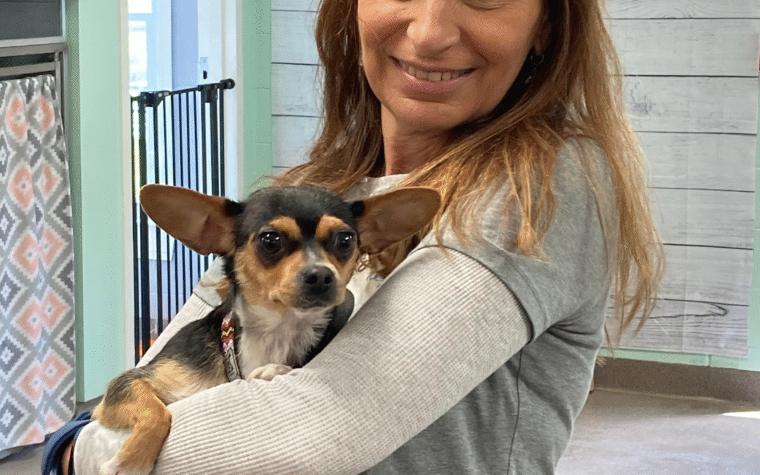 60 Stories in 60 Days: Why We Keep Going