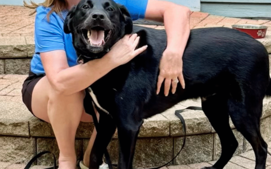 60 Stories in 60 Days: Healing Hearts